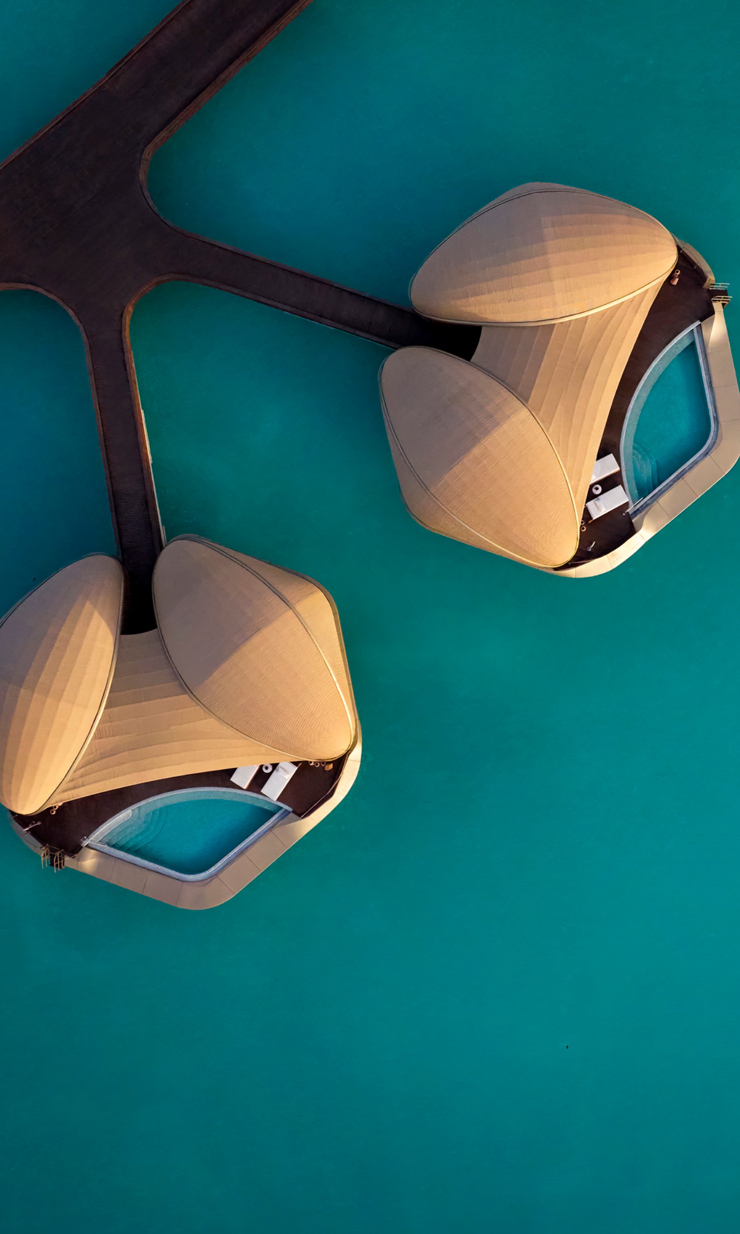 Villas de luxe en bord de mer en forme de coquillage sur l'île d'Ummahat, Arabie Saoudite